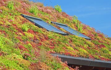Grimston living roof systems